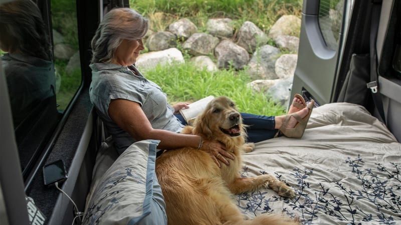Final Thoughts on Choosing the Best Class B RV for Dogs
