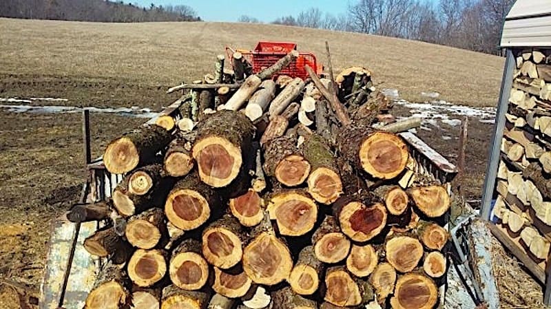 Pile of small logs stacked by a wood sliptter